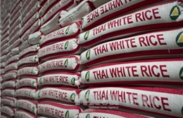 Thái Lan có thể xả toàn bộ gạo dự trữ trong tháng 7 